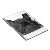 Carnet de bouledogue français (Côté Droit)