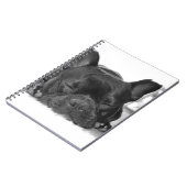 Carnet de bouledogue français (Côté gauche)