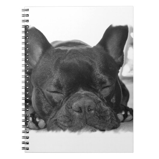 Carnet de bouledogue français (Devant)