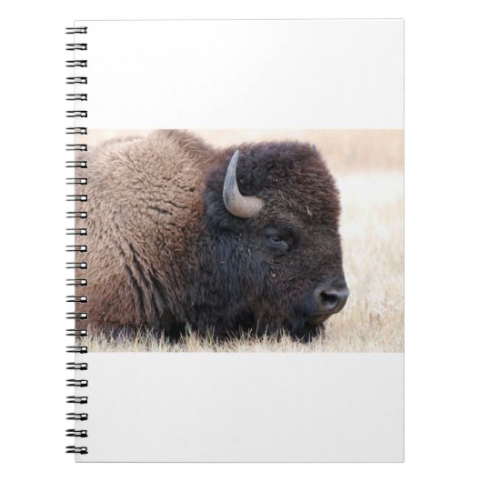 Carnet De Buffalo de bison fin (Devant)