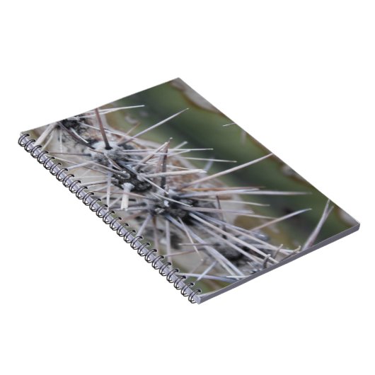 Carnet de cactus (Côté Droit)