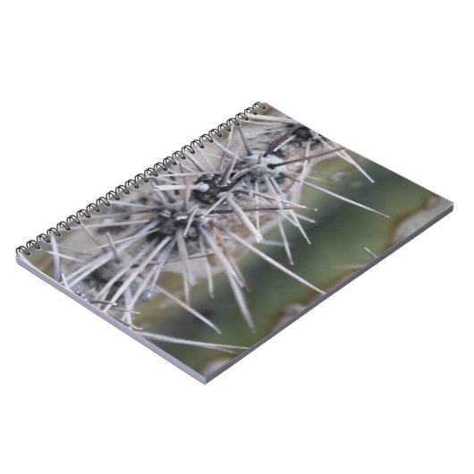 Carnet de cactus (Côté gauche)