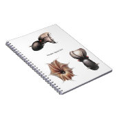 Carnet de calmar de vampire (Côté Droit)