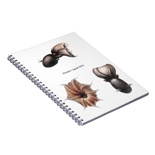 Carnet de calmar de vampire (Côté Droit)