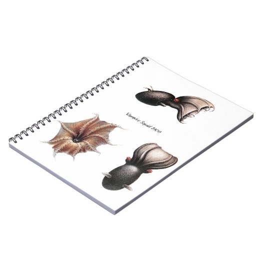 Carnet de calmar de vampire (Côté gauche)