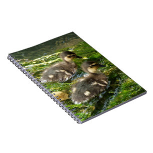 Carnet de canalisations