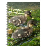 Carnet de canalisations (Devant)