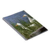 Carnet de canard (Côté Droit)