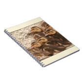 Carnet de canetons (Côté Droit)