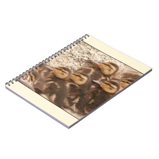 Carnet de canetons (Côté gauche)