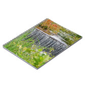 Carnet de cascade de Quanopaug (Côté gauche)
