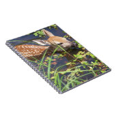 Carnet de cerfs de bébés (Côté Droit)