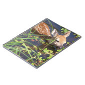 Carnet de cerfs de bébés (Côté gauche)