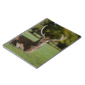 Carnet de cerfs de Buck (Côté gauche)