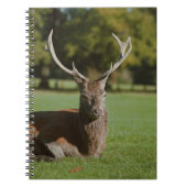 Carnet de cerfs de Buck (Devant)