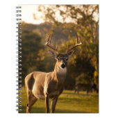 Carnet de cerfs / Journal (Devant)