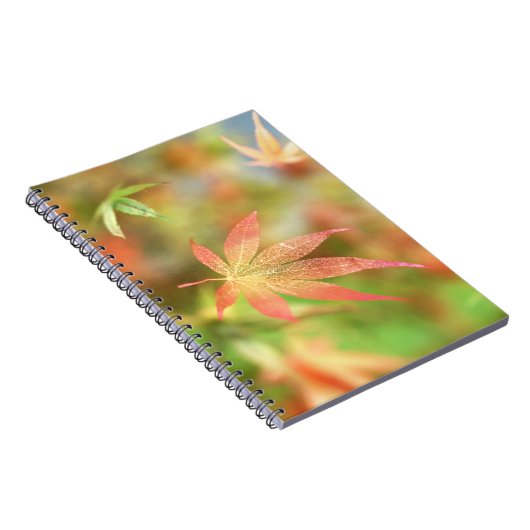 Carnet de champ automne (Côté Droit)