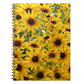 Carnet de champ de tournesols