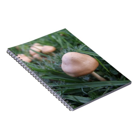Carnet de champignons (Côté Droit)