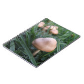 Carnet de champignons (Côté gauche)