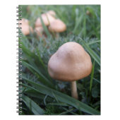 Carnet de champignons (Devant)