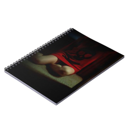 Carnet de chandail de crâne (Côté gauche)