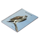 Carnet de chant de faucon de balbuzard (Côté gauche)