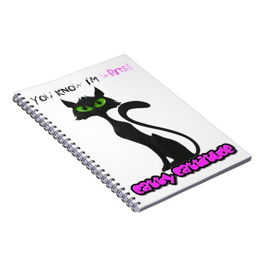 Carnet de chat (Côté Droit)