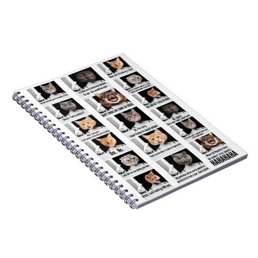 carnet de chat (Côté Droit)