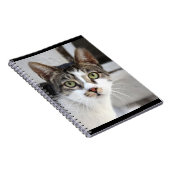 Carnet de chat (Côté Droit)