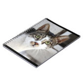 Carnet de chat (Côté gauche)