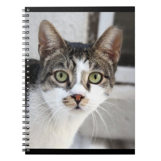 Carnet de chat (Devant)
