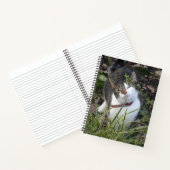 Carnet de chat blanc gris mou (Intérieur)