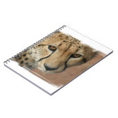 Carnet de chat de guépard (Côté gauche)