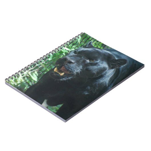 Carnet de chat de panthère noire (Côté gauche)