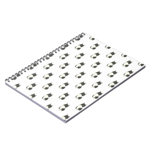 Carnet de chat Ragamuffin Tuxedo (Côté gauche)