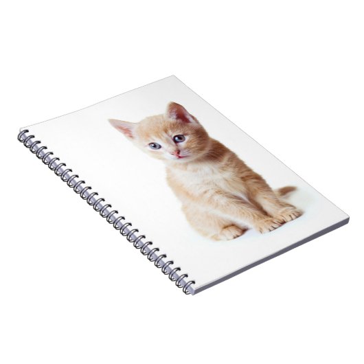 Carnet de chaton (Côté Droit)