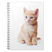 Carnet de chaton (Devant)