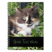 Carnet de chaton de calicot (Devant)