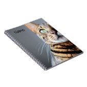Carnet de chats du Bengale (Côté Droit)