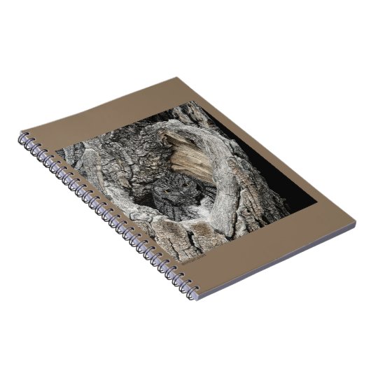 Carnet de chenille (Côté Droit)