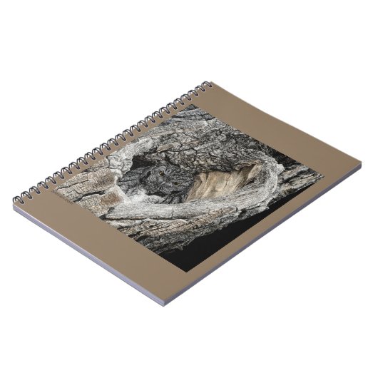 Carnet de chenille (Côté gauche)