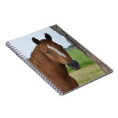 Carnet de cheval (Côté Droit)
