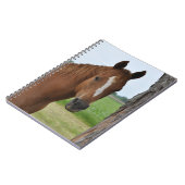 Carnet de cheval (Côté gauche)