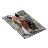 Carnet de cheval (Côté Droit)