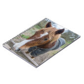 Carnet de cheval (Côté gauche)