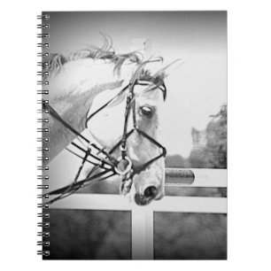 Carnet de cheval anglais