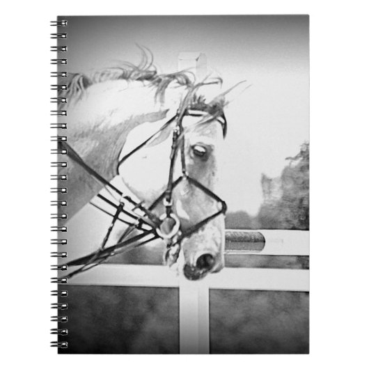Carnet de cheval anglais (Devant)