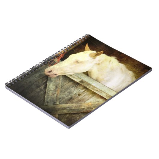 Carnet de cheval blanc (Côté gauche)