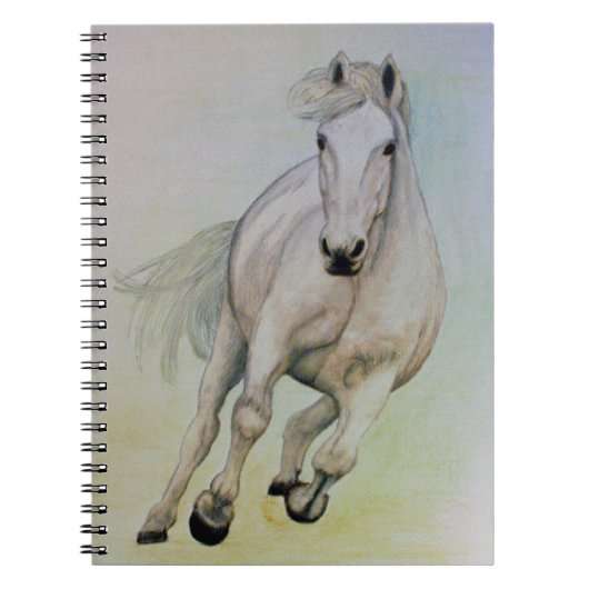 Carnet "de cheval blanc" (Devant)